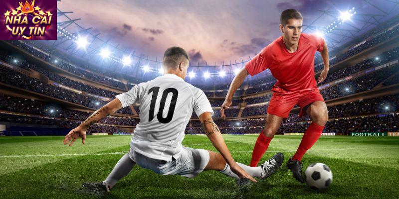 Những sai lầm mắc phải khi cá cược